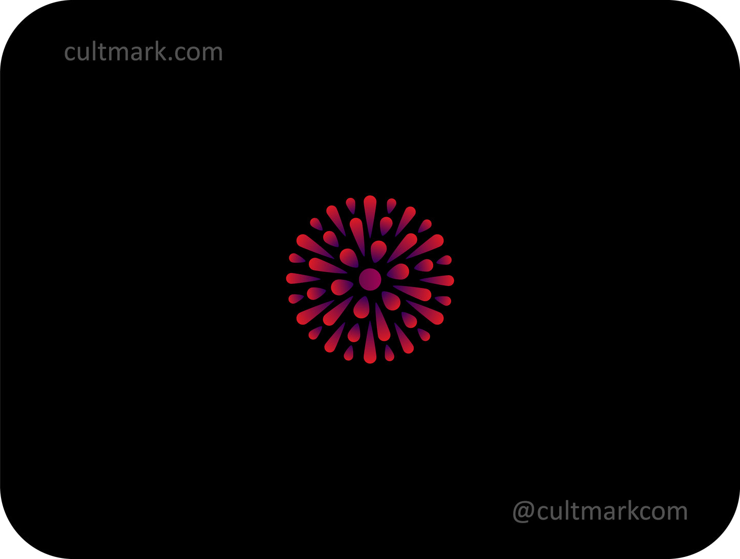 Firework logo