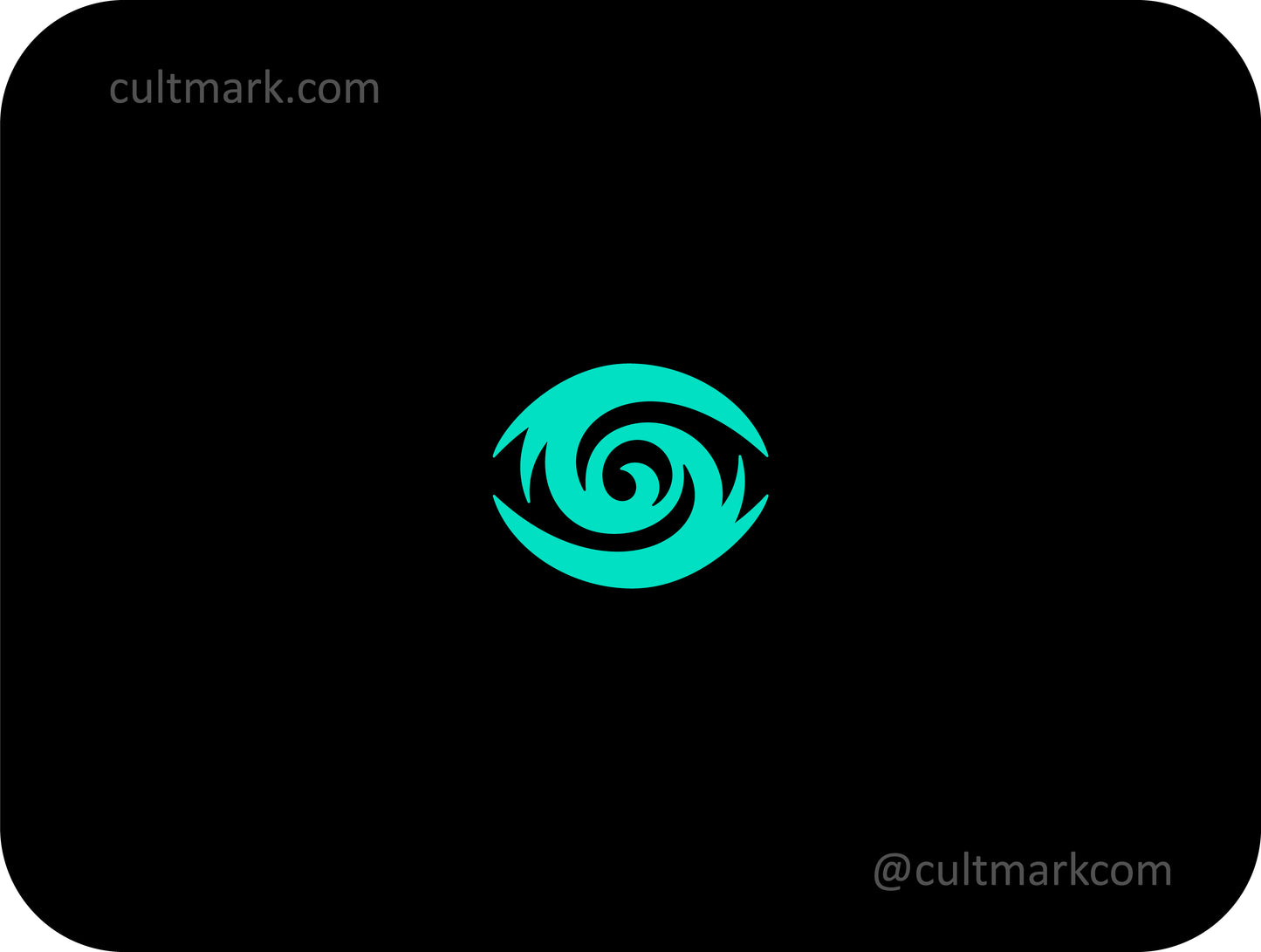 Eye vortex logo