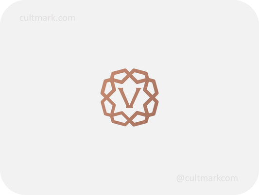Letter V logo