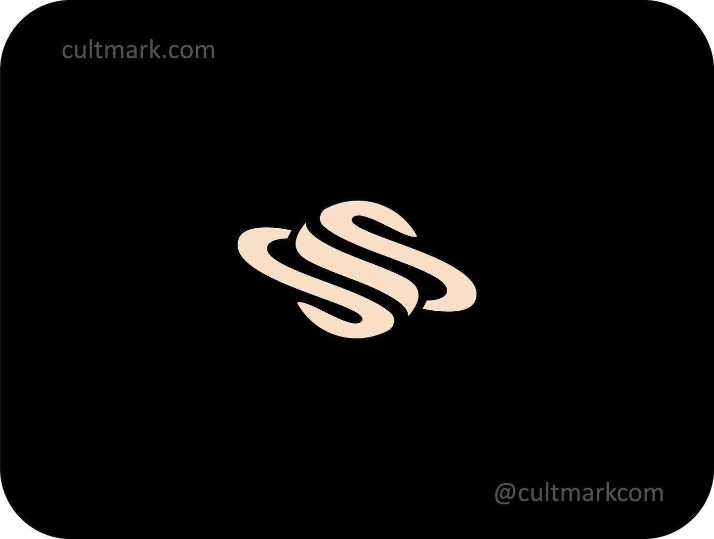 Planet logo. Letter S logo