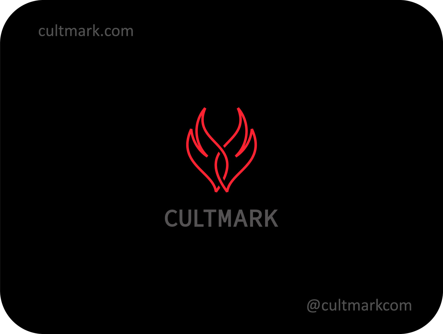 Flame logo. Wings logo